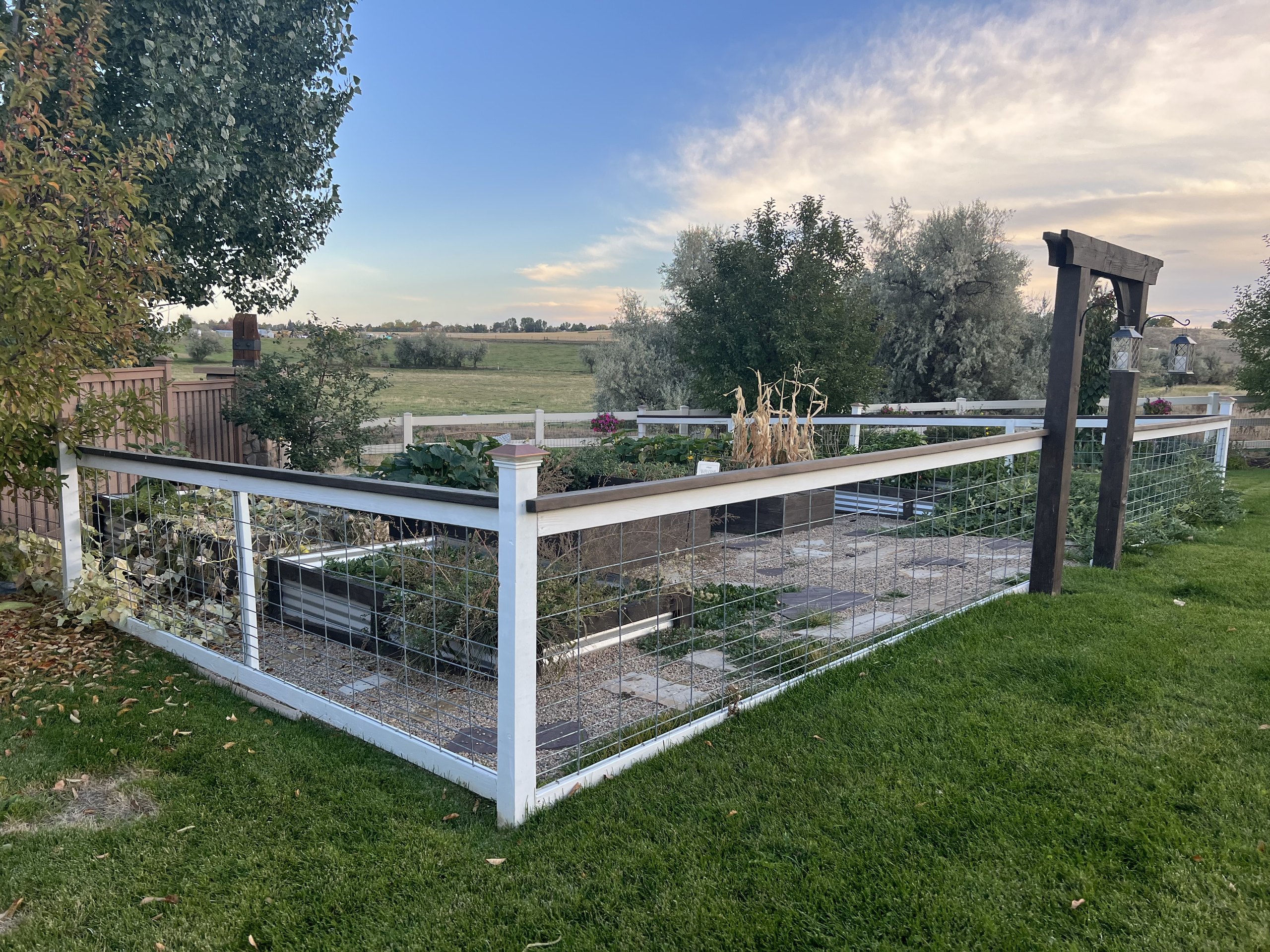 After raised garden beds project