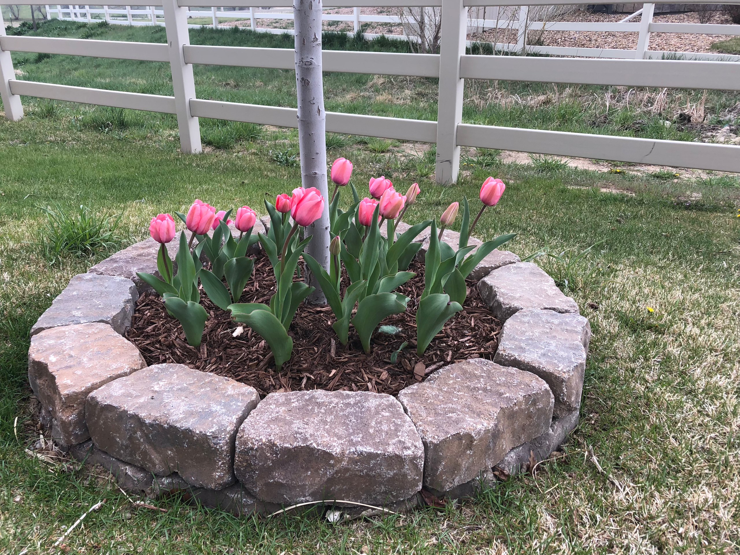 Flower garden bed project