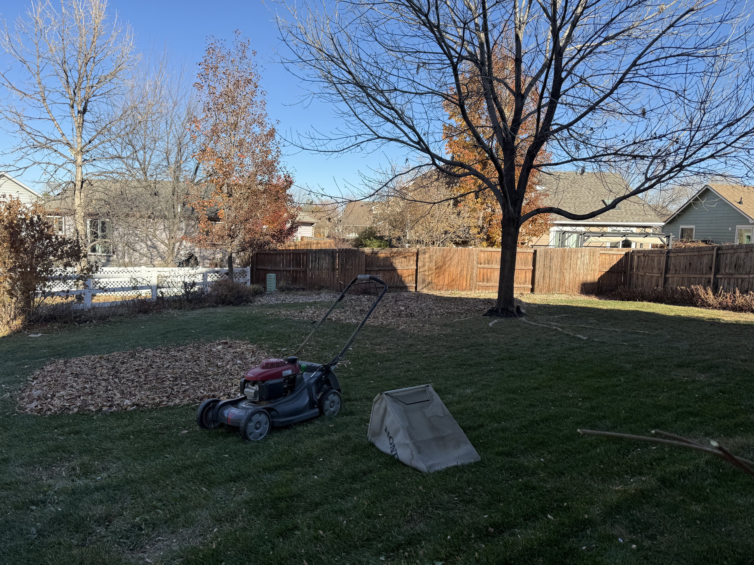 Yard grading and landscaping
